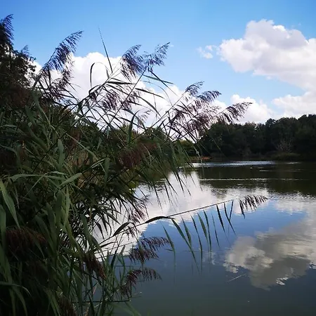 La Maison De L Etang * Foucherans (Jura)